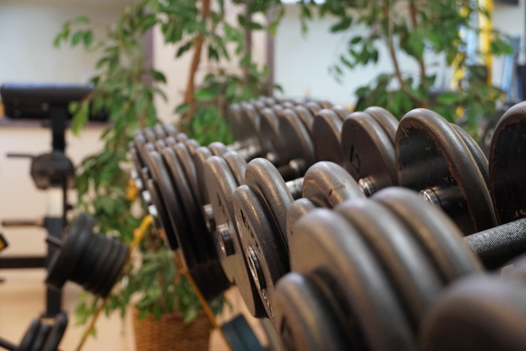 Fitnessabteilung „Fit and More“ geplant: Mitstreiter gesucht!